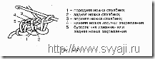 Вязание длинным крючком - петли