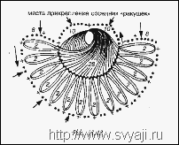 55