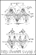 Image2
